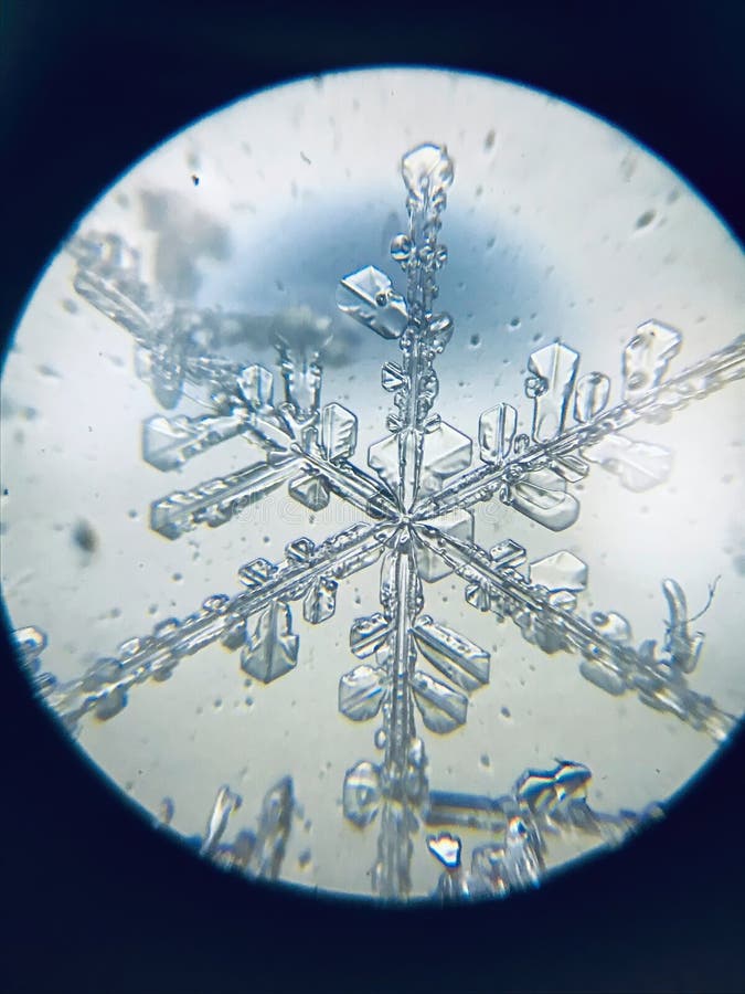Flocon De Neige Cristal De Glace Stellaire Dendrite Sous Microscope Photo stock Image du fête