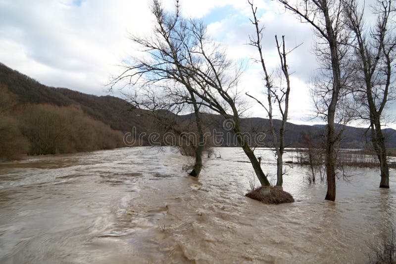 Flood stock photos