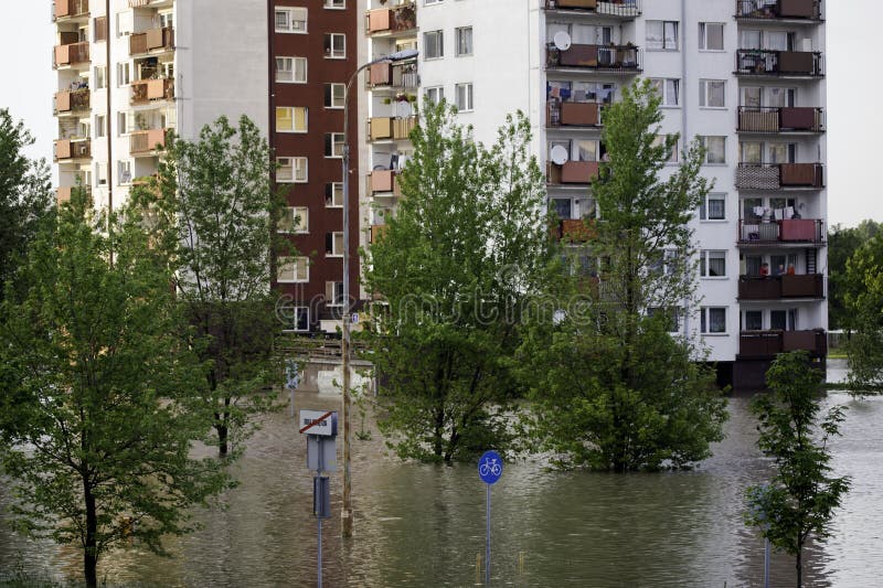 Flood in the city