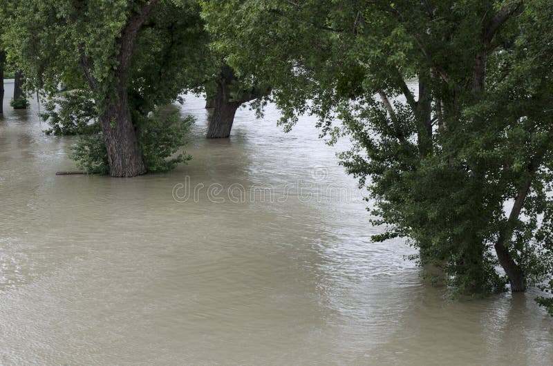 Flood on Danube