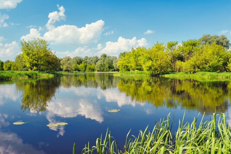 Narew river water Poland clouds blue sky pond lake trees