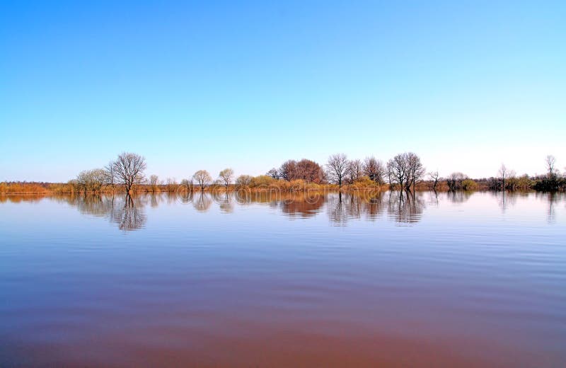 Flood in wood