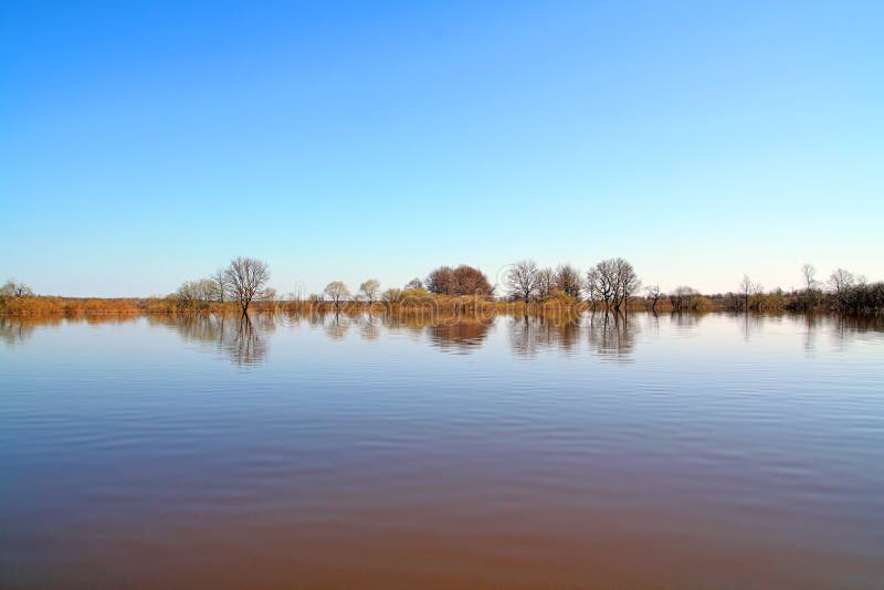 Flood in wood