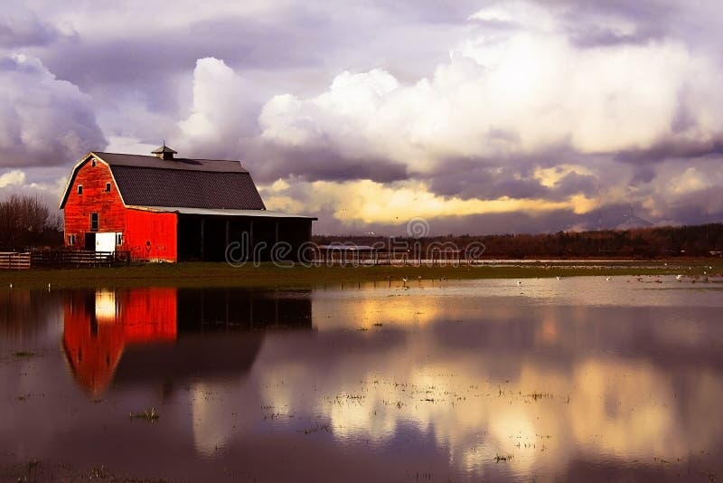 Flooded countryside stock photo. Image of dairy, artistic - 654188