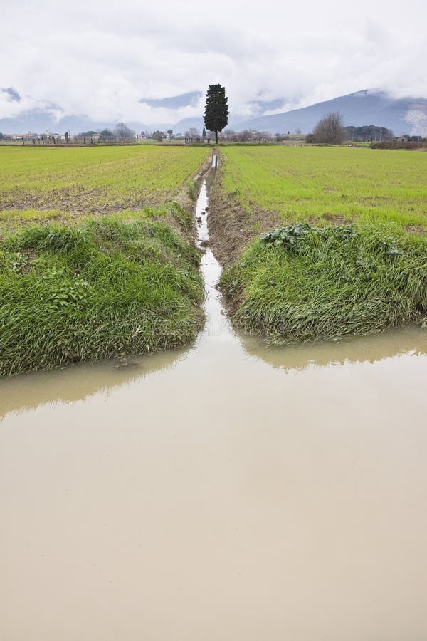 Flooded fields - Fields flooded after several days of rain stock photo Flooded fields - Fields flooded after several days of rain stock photo