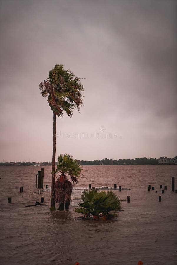 Flooded streets during Hurricane Harvey