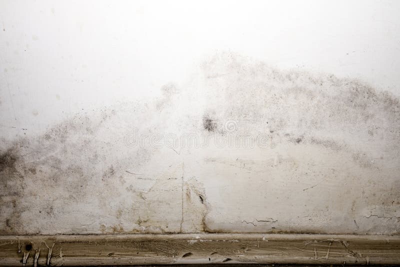 Flooding Rainwater or Floor Heating Systems, Causing Damage, Peeling