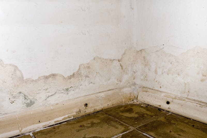 Flooding Rainwater or Floor Heating Systems, Causing Damage, Peeling