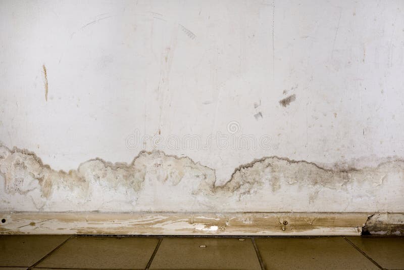 Leaky Roof Stock Photos Download 507 Royalty Free Photos