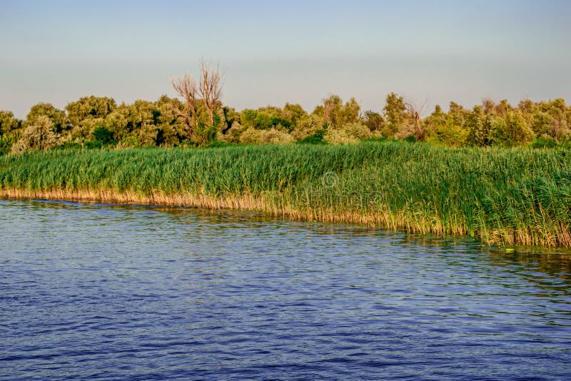 Floodplain of the Konka River in Kherson Ukraine Stock Image - Image of ...