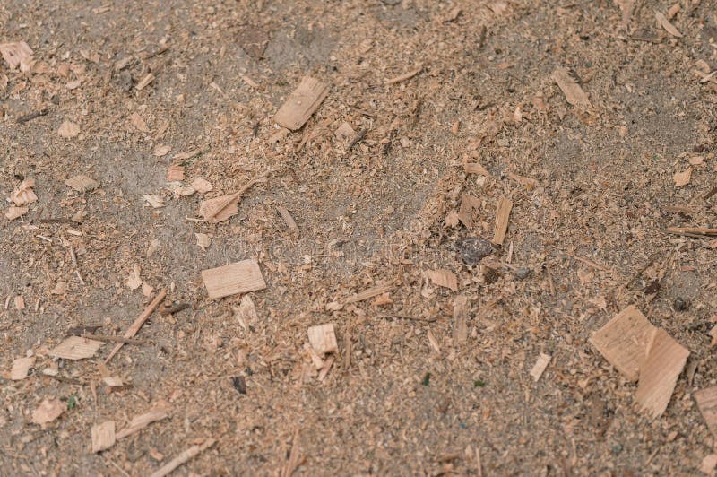 Floor in the sawdust stock image. Image of structure 73606503