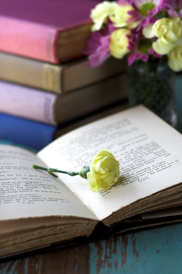 Flor amarela sobre um livro aberto imagem de stock