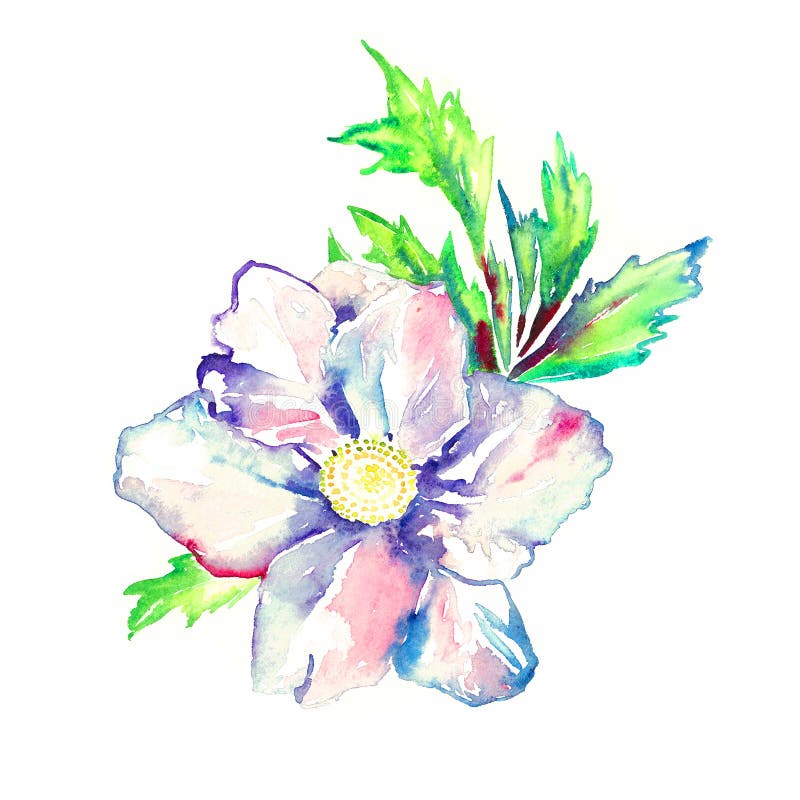 Flor branca com folhas verdes, elemento pintado à mão isolado da peônia do projeto da ilustração da aquarela ilustração stock Flor branca com folhas verdes, elemento pintado à mão isolado da peônia do projeto da ilustração da aquarela ilustração stock
