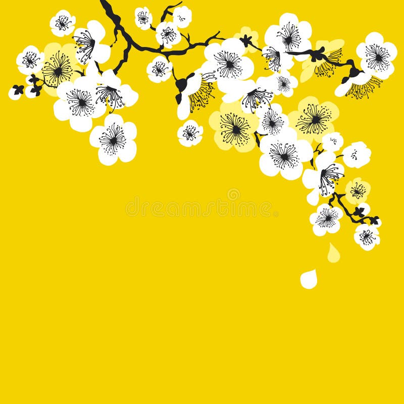 White sakura blossom on sunny yellow background. elegant naive spring floral design element for invitation, card, poster, greetings, wedding. White sakura blossom on sunny yellow background. elegant naive spring floral design element for invitation, card, poster, greetings, wedding.