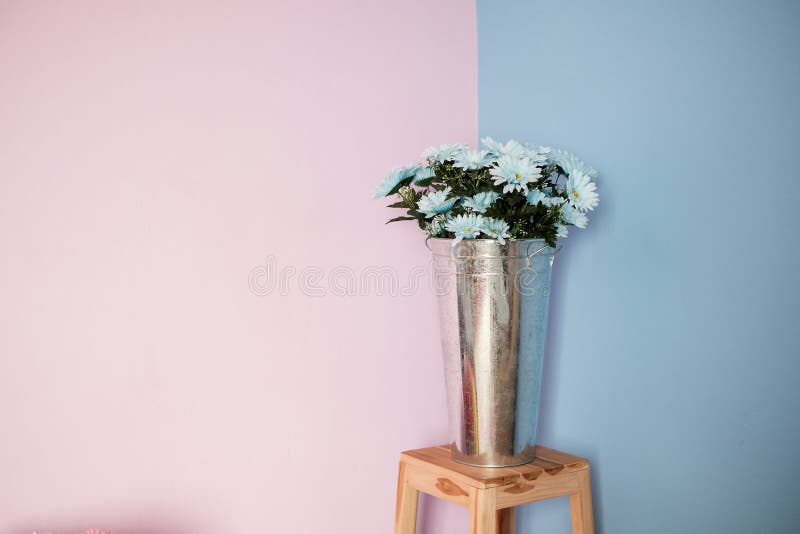 Flor Branca em design de decoração de vasos modernos no suporte com fundo de paredes cor rosa e azul fotos de stock Flor Branca em design de decoração de vasos modernos no suporte com fundo de paredes cor rosa e azul fotos de stock