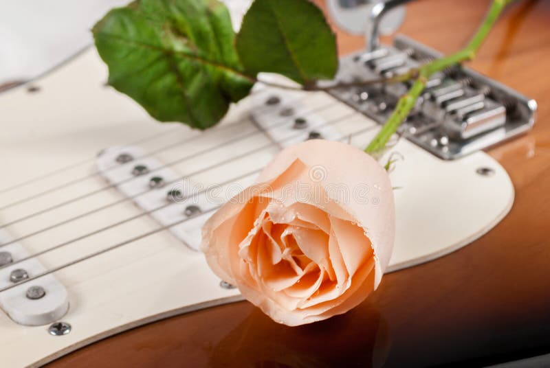 Flor Color De Rosa Hermosa Con Descensos De Rocío En La Guitarra Foto de  archivo - Imagen de rojo, instrumento: 111996404