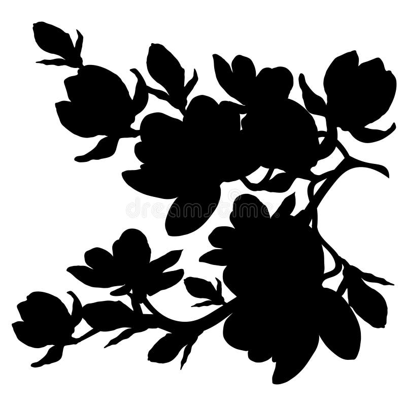 Flor da flor da magnólia do ramo da silhueta Ilustração do vetor ilustração royalty free Flor da flor da magnólia do ramo da silhueta Ilustração do vetor ilustração royalty free