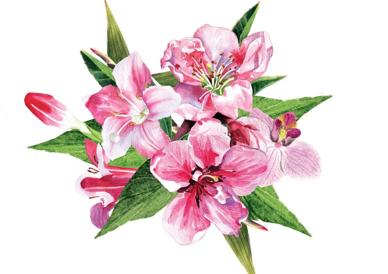 Flor da mola ilustração royalty free Flor da mola ilustração royalty free