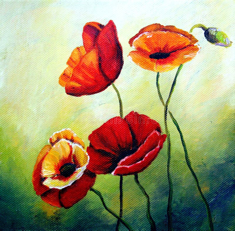 Papoila ilustração stock