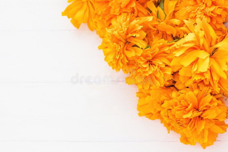 Flor De Cempasuchil, Mexican Flowers in Day of the Dead MÃ©xico Stock Image  - Image of garden, botany: 154127969