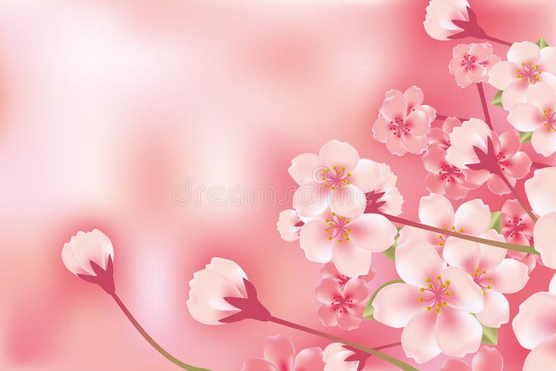 Flor de cereja luxuosa abstrata ilustração royalty free Flor de cereja luxuosa abstrata ilustração royalty free