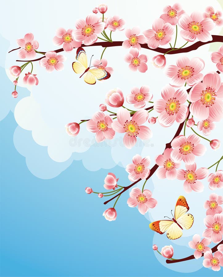 Flor de cereza libre illustration Flor de cereza libre illustration