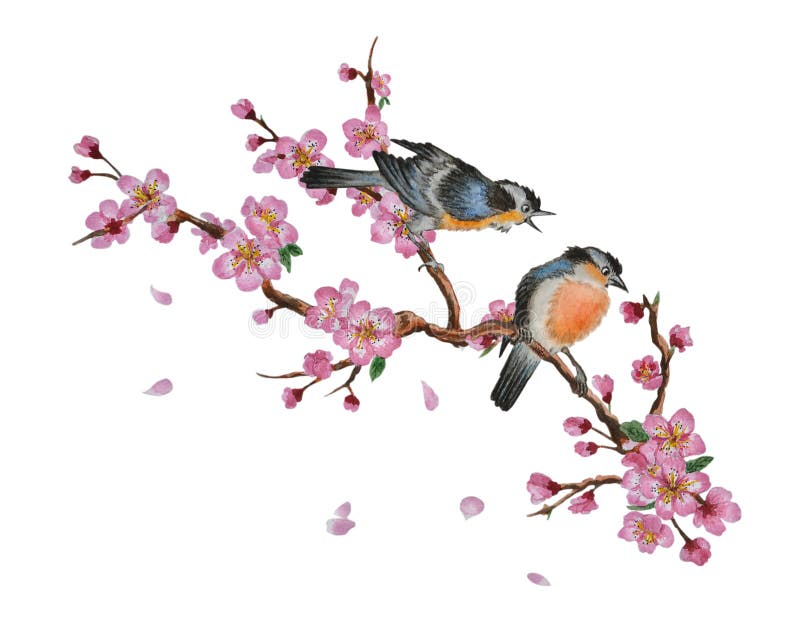 Watercolor traditional Chinese painting of flowers, cherry blossom and two birds on tree, isolated on white background. Can be used as romantic background for wedding invitations, greeting postcards, prints, textile design, packaging design. Watercolor traditional Chinese painting of flowers, cherry blossom and two birds on tree, isolated on white background. Can be used as romantic background for wedding invitations, greeting postcards, prints, textile design, packaging design