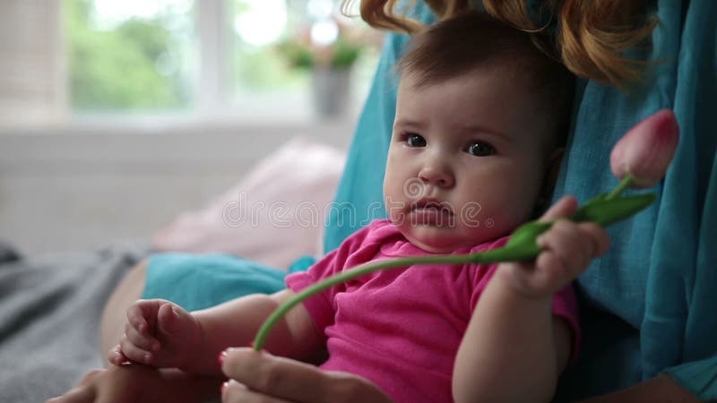 Flor de cheiro da tulipa do bebê curioso
