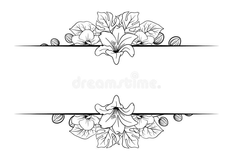 Flor De Flor De Dibujo a Mano Monocromo Flor Flor Flor Ornamento De Borde Decorativo Ilustración del Vector - Ilustración de floral, follaje: 222362517 Flor De Flor De Dibujo a Mano Monocromo Flor Flor Flor Ornamento De Borde Decorativo Ilustración del Vector - Ilustración de floral, follaje: 222362517