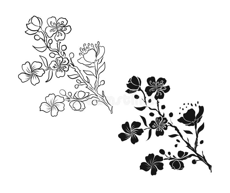 Flor De Melocotón Y Conjunto De Flores De Cerezo. Ilustración del Vector -  Ilustración de cubo, hoja: 217684666