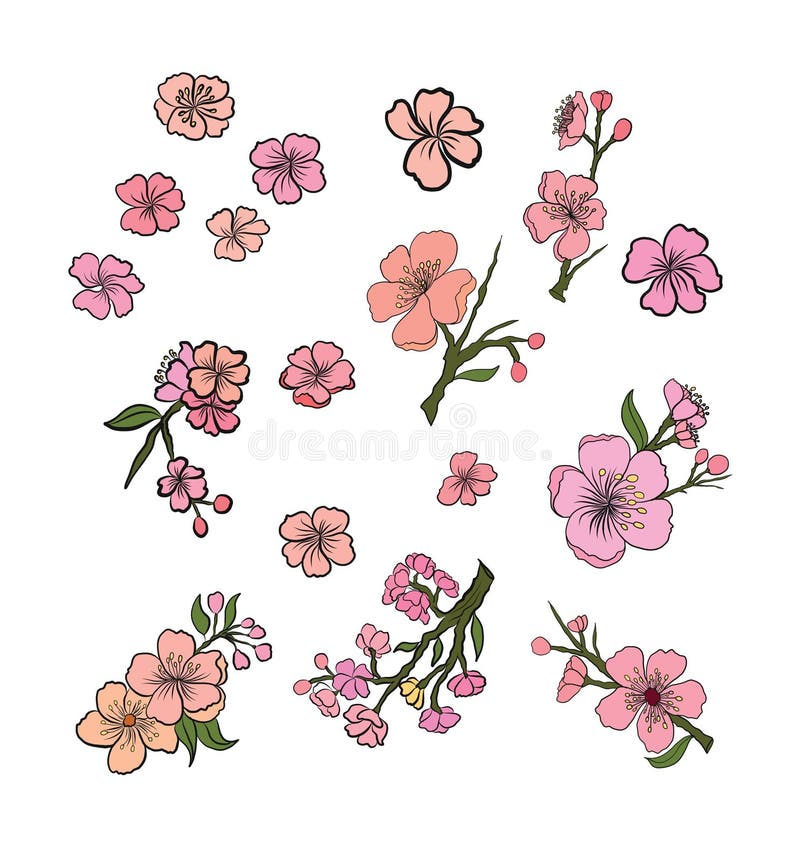 Flor De Melocotón Y Conjunto De Flores De Cerezo. Ilustración del Vector -  Ilustración de planta, vendimia: 217684709