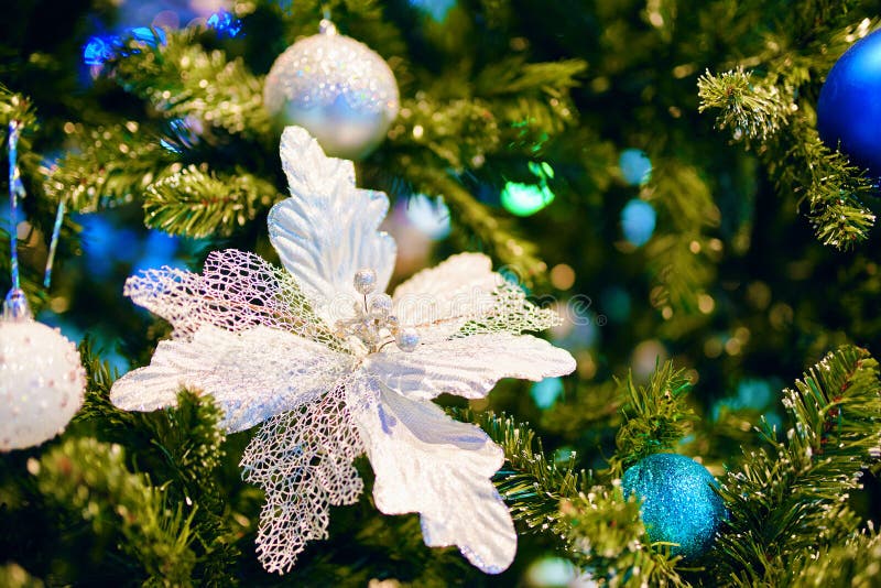 Flor De Navidad Plateada En Rama De árbol. Imagen de archivo - Imagen de  encanto, pino: 226503189