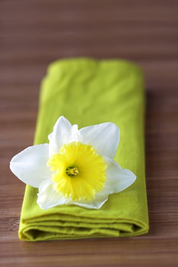 Daffodil Flower on green folded cloth napkin on wood table. Daffodil Flower on green folded cloth napkin on wood table