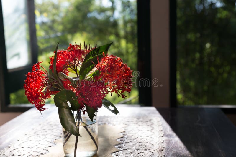 Flor Do Ixora No Vaso Na Tabela De Madeira Perto Da Janela Imagem de Stock  - Imagem de vaso, vermelho: 82124009