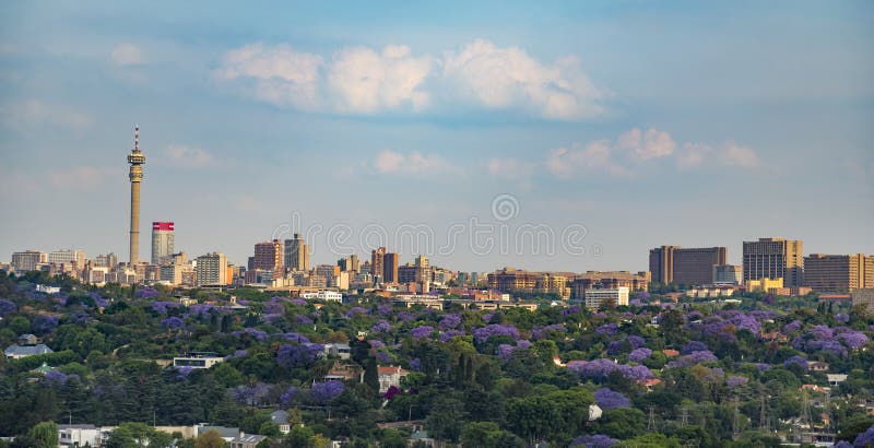 Flor dos Jacarandas da skyline de Joanesburgo CBD