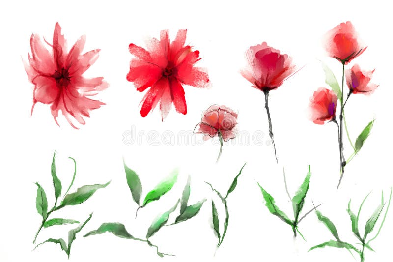Flor e folha abstratas da pintura da aquarela A ilustração isolada da mola, flores do verão pinta o projeto sobre o fundo branco ilustração stock Flor e folha abstratas da pintura da aquarela A ilustração isolada da mola, flores do verão pinta o projeto sobre o fundo branco ilustração stock