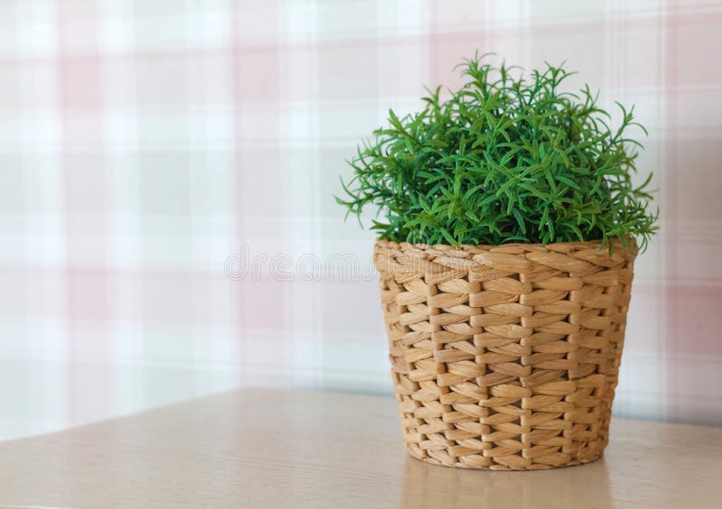 Flor en una cesta en la cocina brillante del Escandinavo-estilo, contra un fondo del papel pintado colorido, espacio para el text imagen de archivo Flor en una cesta en la cocina brillante del Escandinavo-estilo, contra un fondo del papel pintado colorido, espacio para el text imagen de archivo
