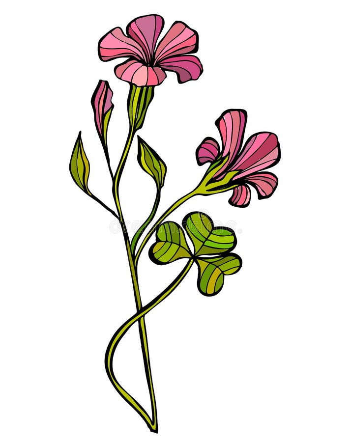 Flor linda ilustrada ilustración del vector. Ilustración de contorno -  17566044
