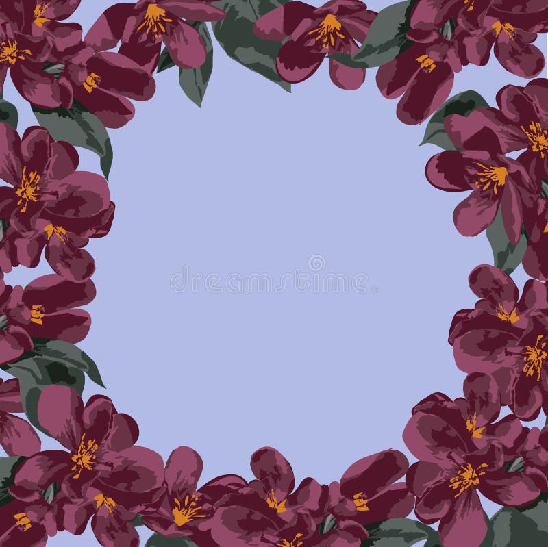 Flor, marco, rosa, floral, frontera, blanco, rosa, naturaleza, flores, primavera, hermosa, tarjeta, belleza, rojo, flor, decoros libre illustration Flor, marco, rosa, floral, frontera, blanco, rosa, naturaleza, flores, primavera, hermosa, tarjeta, belleza, rojo, flor, decoros libre illustration