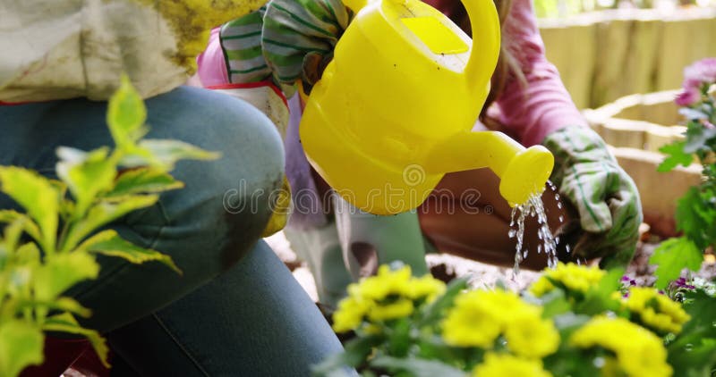 Flor molhando dos pares no jardim