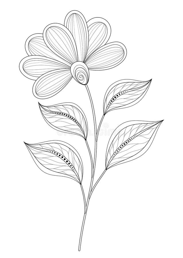 Flor monocromática hermosa del contorno del vector stock de ilustración Flor monocromática hermosa del contorno del vector stock de ilustración