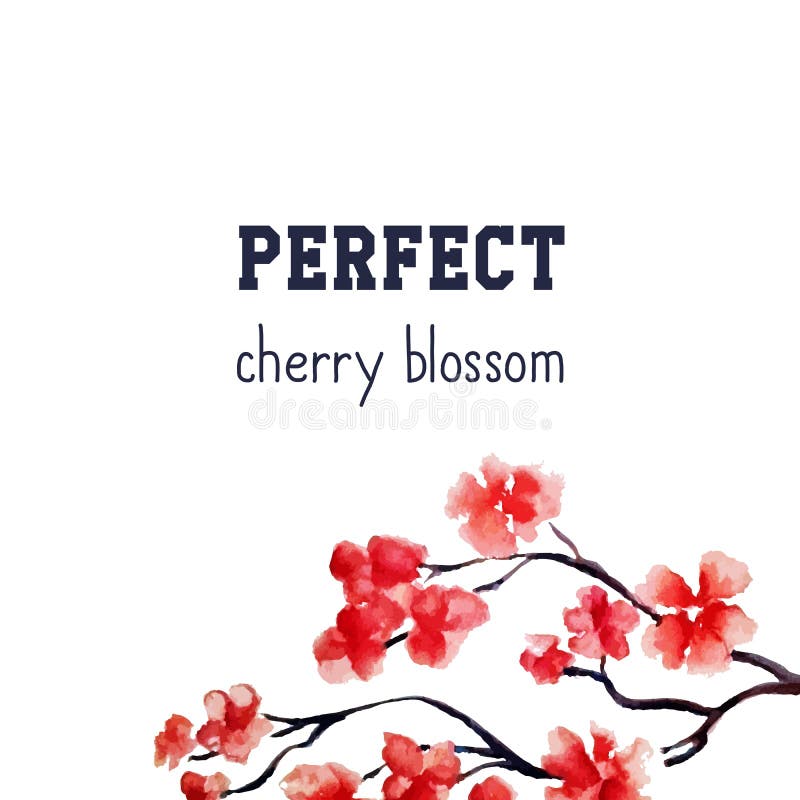 Flor realista de Sakura - cerezo rojo japonés aislado en el fondo blanco Pintura de la acuarela del vector truncamiento ilustración del vector Flor realista de Sakura - cerezo rojo japonés aislado en el fondo blanco Pintura de la acuarela del vector truncamiento ilustración del vector