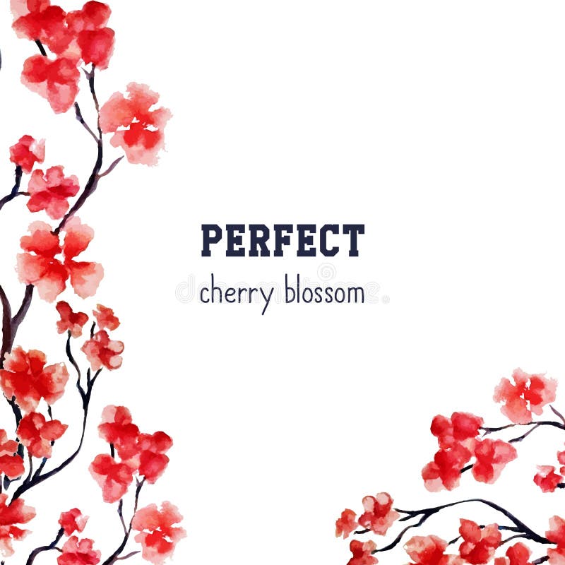Flor realista de Sakura - cerezo rojo japonés aislado en el fondo blanco Pintura de la acuarela del vector truncamiento libre illustration Flor realista de Sakura - cerezo rojo japonés aislado en el fondo blanco Pintura de la acuarela del vector truncamiento libre illustration