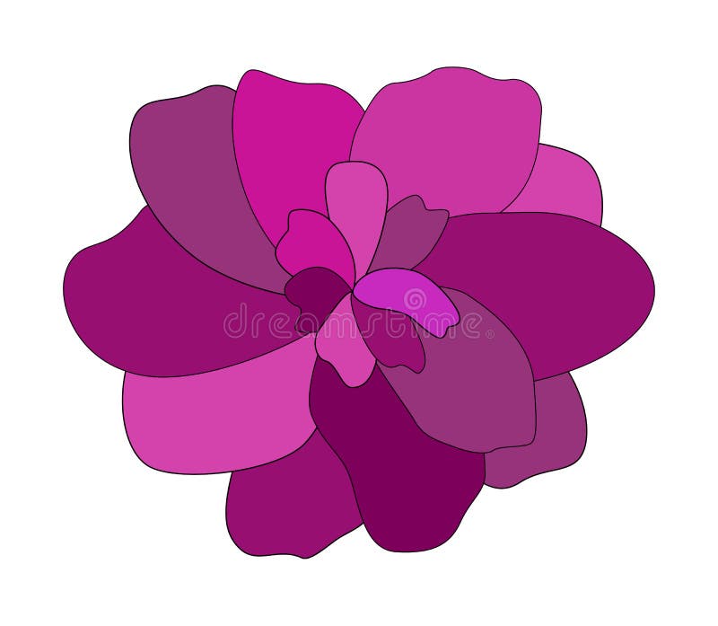 Flor rosa colorida sobre fondo blanco. ilustración vectorial libre illustration