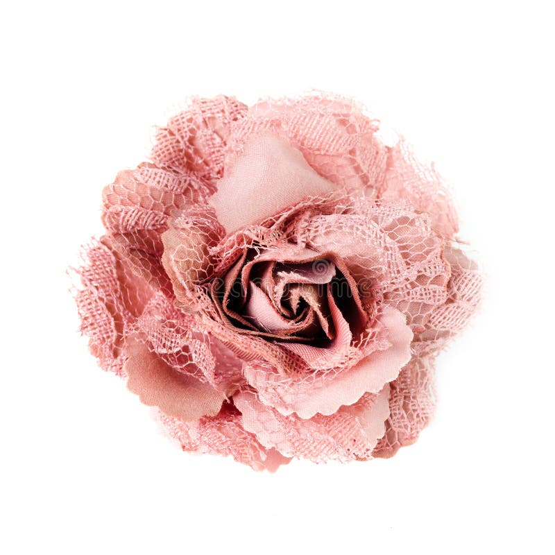 Flor rosada de la broche aislada en el fondo blanco