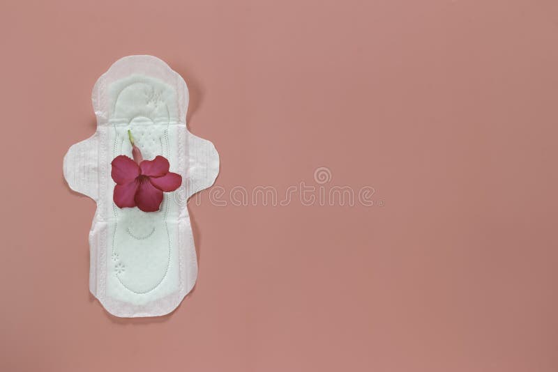 Flor rosada en los productos de la higiene de las mujeres o cojín sanitario en fondo rosado fotografía de archivo Flor rosada en los productos de la higiene de las mujeres o cojín sanitario en fondo rosado fotografía de archivo