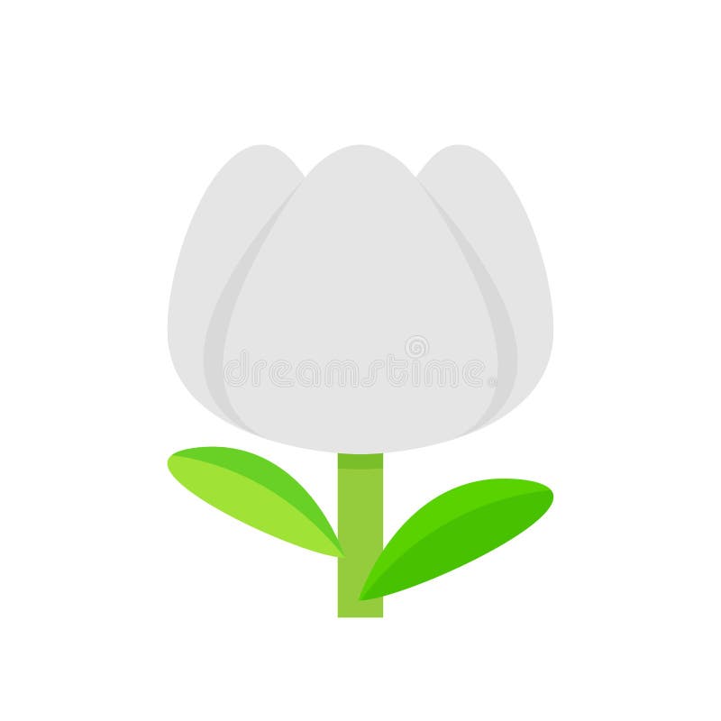 Flor Tulipán Gris Blanco Simple Aislado Sobre Fondo Blanco Tulipanes  Dibujos Animados Blancos Para Ilustración De Clip Tulip Flor Ilustración  del Vector - Ilustración de hoja, creativo: 191419109