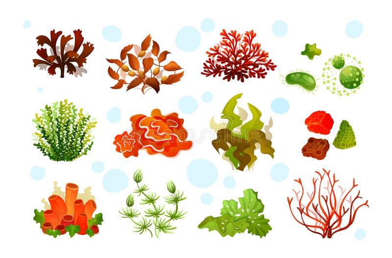 Flora marina dell'acquario, alghe subacquee della barriera corallina, piante dell'oceano illustrazione di stock Flora marina dell'acquario, alghe subacquee della barriera corallina, piante dell'oceano illustrazione di stock