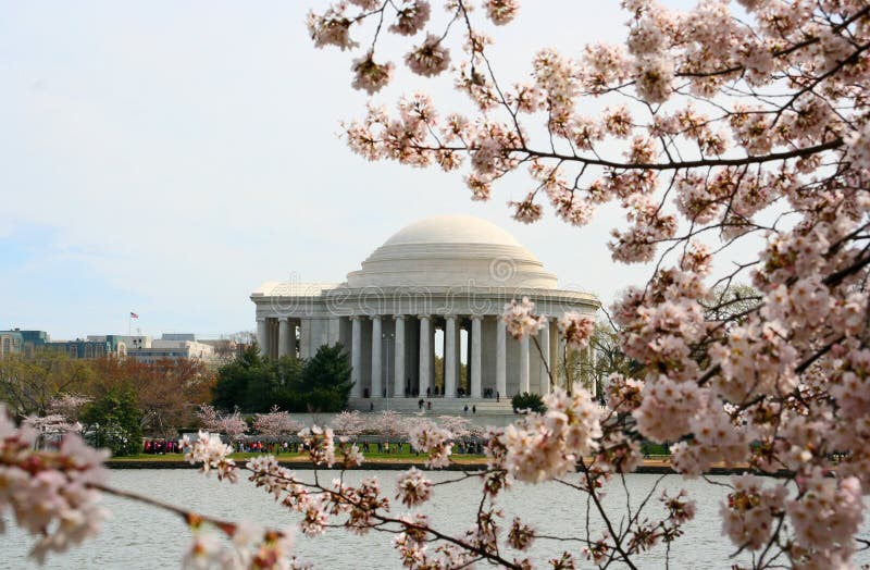 Floración de los cerezos con Jefferson Memorial fotografía de archivo libre de regalías Floración de los cerezos con Jefferson Memorial fotografía de archivo libre de regalías