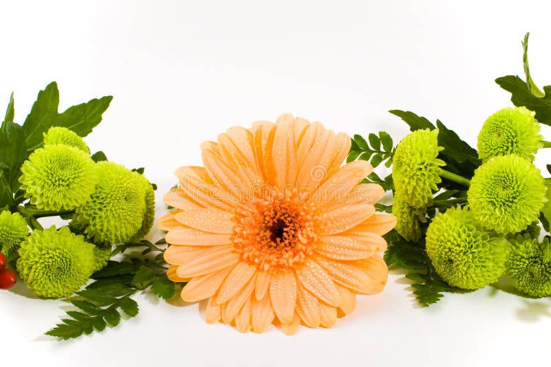 Floral arrangement stock photo. Image of fresh, floral 5254756